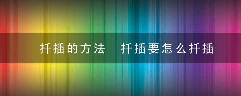 扦插的方法 扦插要怎么扦插